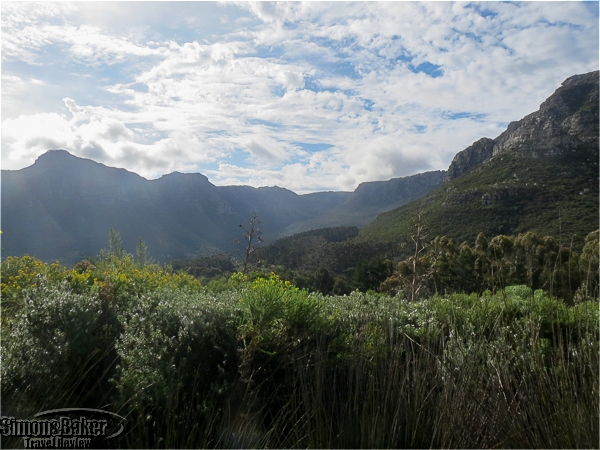 The views of Table Mountain National Park at Silvermist