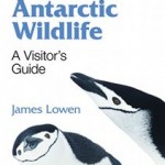 Antarctic Wildlife book cover