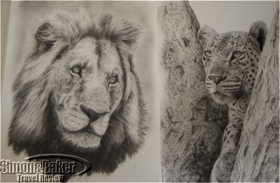 Lion and leopard sketches