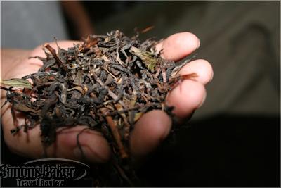 Samples of tea