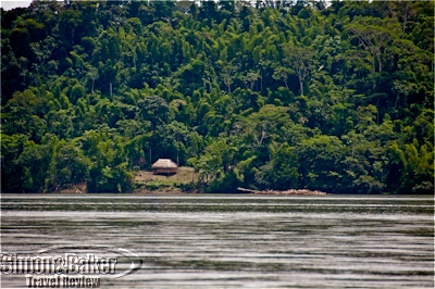 The banks of the Napo River are a tangle of dense rainforest