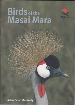 Birds of the Masai Mara