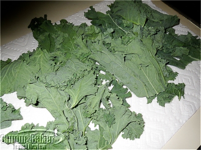 Kale leaves cleaned and ready to make crisps
