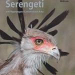 Birds of the Serengeti