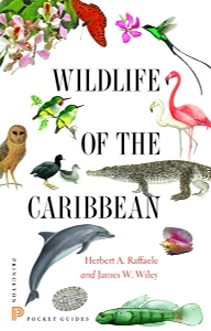 Wildlife of the Caribbean