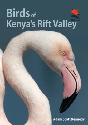 Birds of Kenya